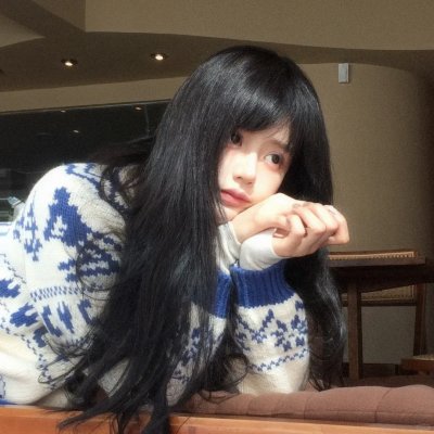 美国豚鼠